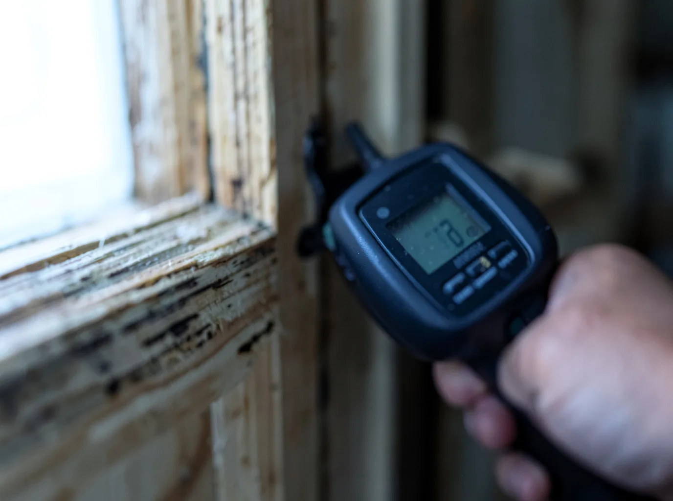 Moisture Inspection And Documentation in Bucoda, WA